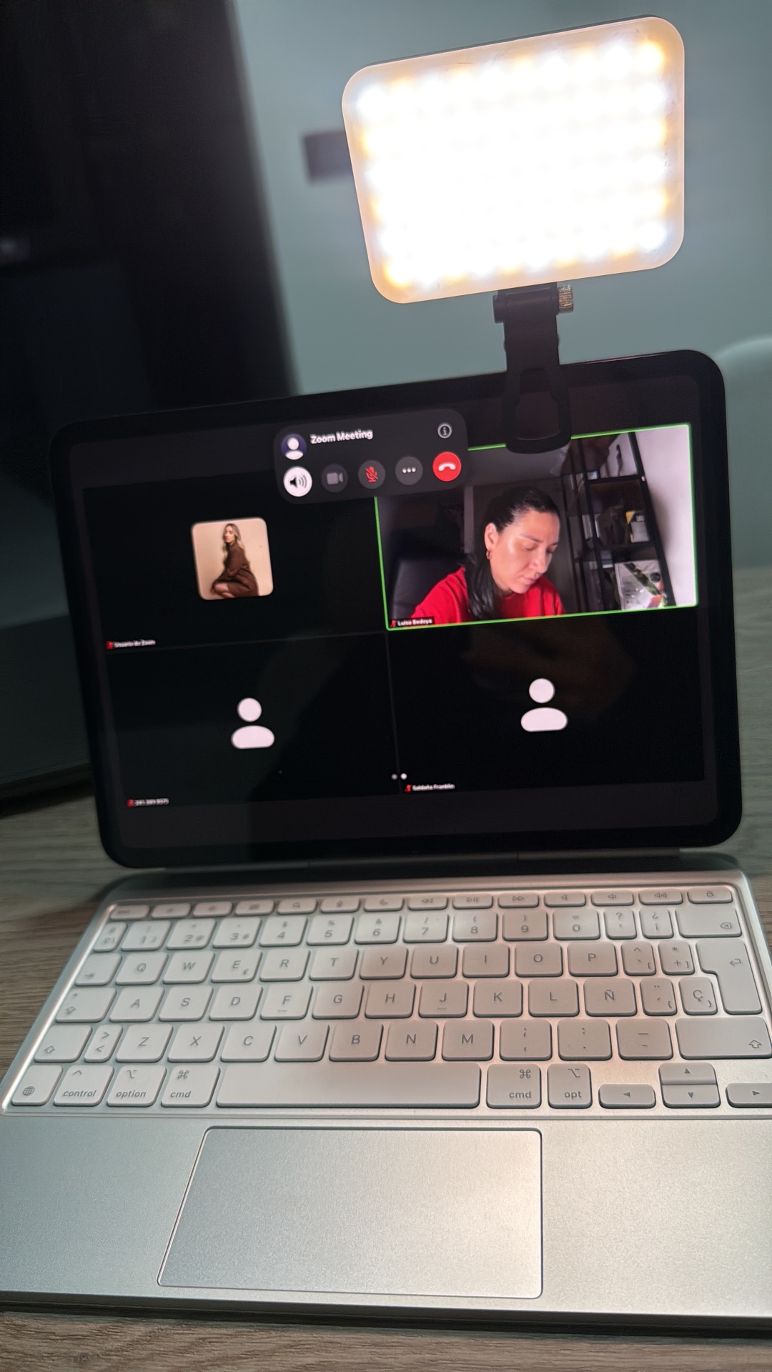 Mentoría online en Zoom